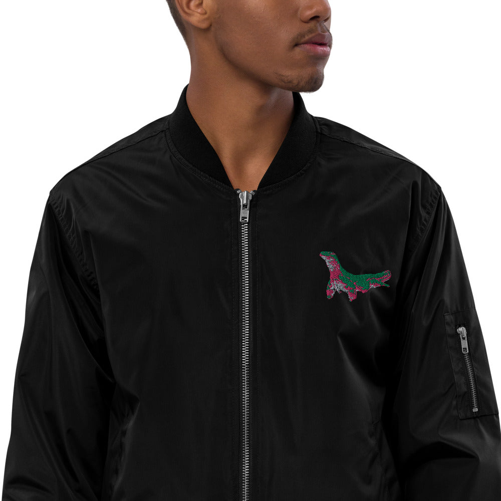 Dragon Bomber